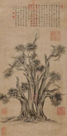 柏落照片,捕捉时光的瞬间，展现生活之美